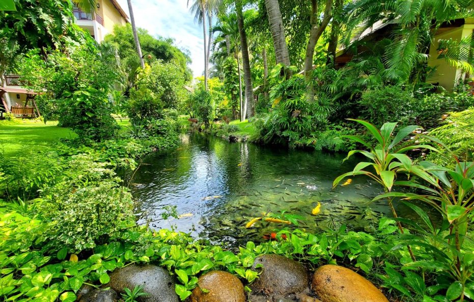 Serene Oasis Bungalow